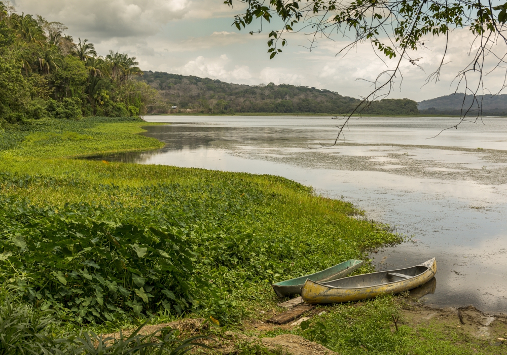 DAY 05 – Gamboa – Boquete