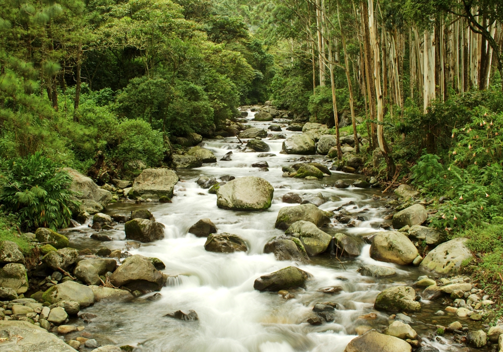 DAY 05 – Gamboa – Boquete