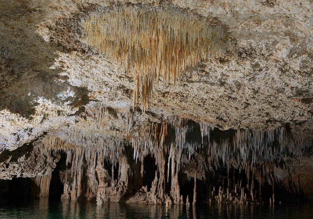 Day 05 - Go Underground  at The Rio Secreto