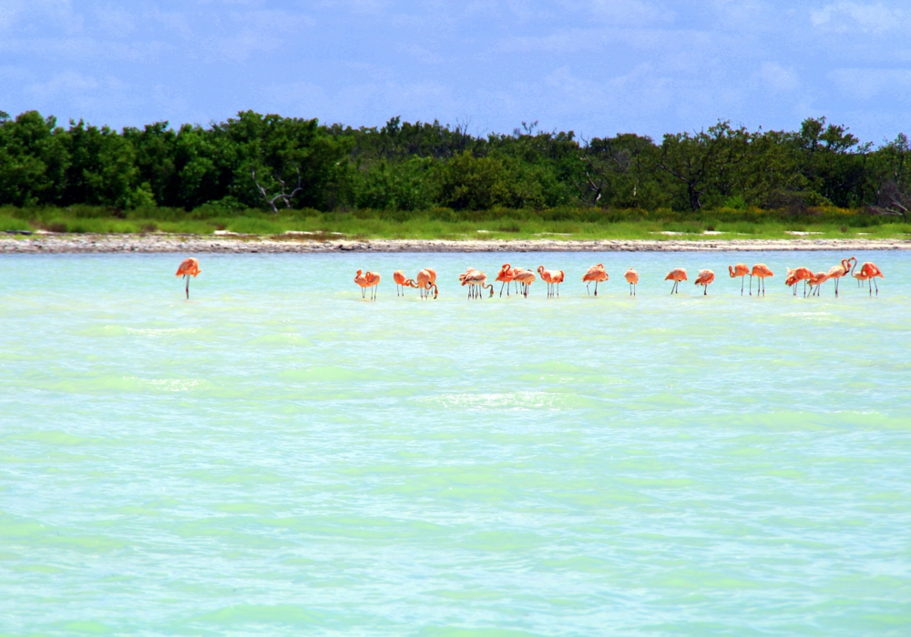 Day 05 - Holbox