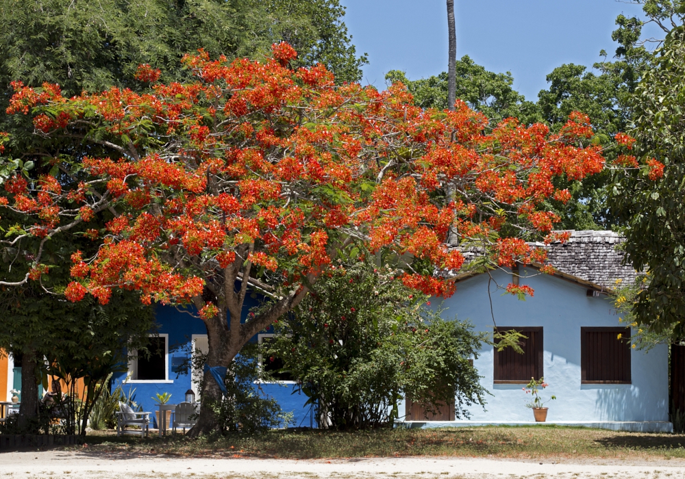 Day 05 - Iguazu -Trancoso