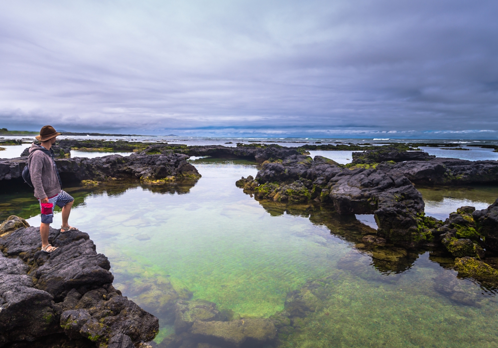 Day 05 - Isabela Island