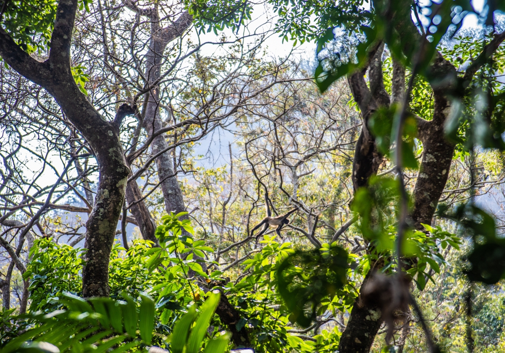 Day 05 -  Lake Atitlan - Zip line - Flores