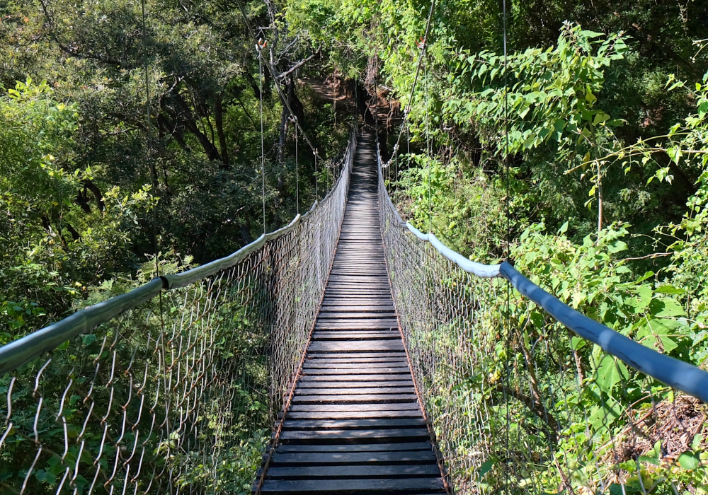 Day 05 -  Lake Atitlan - Zip line - Flores