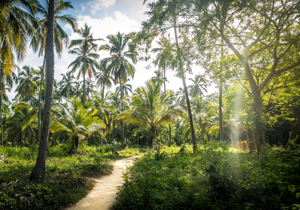 DAY 05 -  Lost City -Tayrona