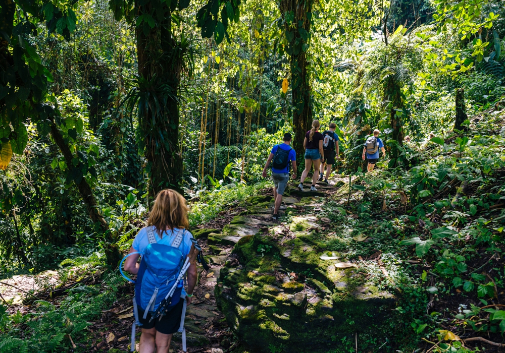 DAY 05 -  Lost City -Tayrona