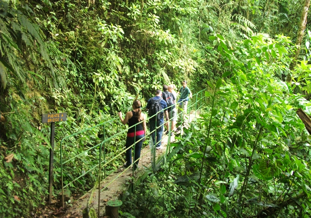 Day 05 - Puerto Viejo- Arenal Volcano