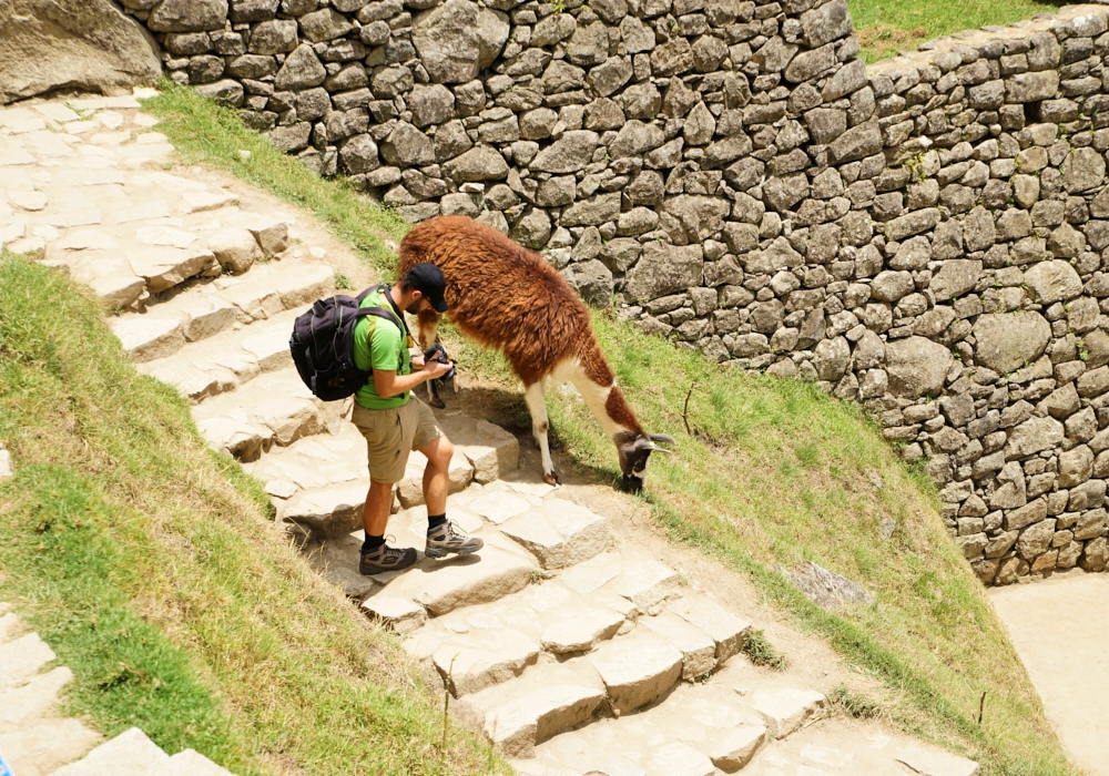 Day 05 - Sacred Valley – Machu Picchu