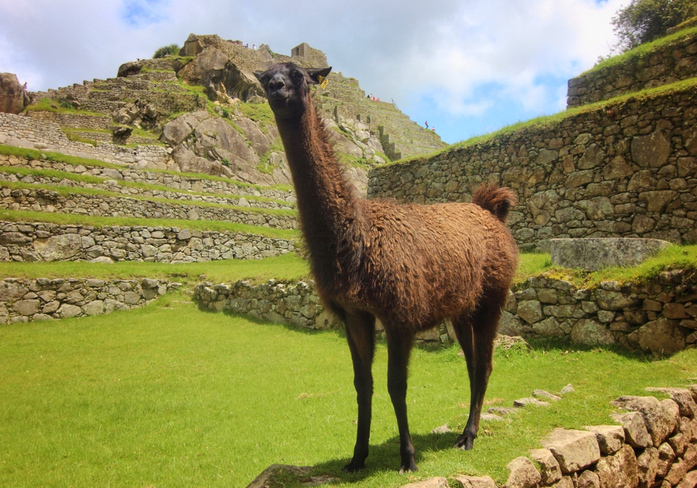 Day 05 - Sacred Valley – Machu Picchu