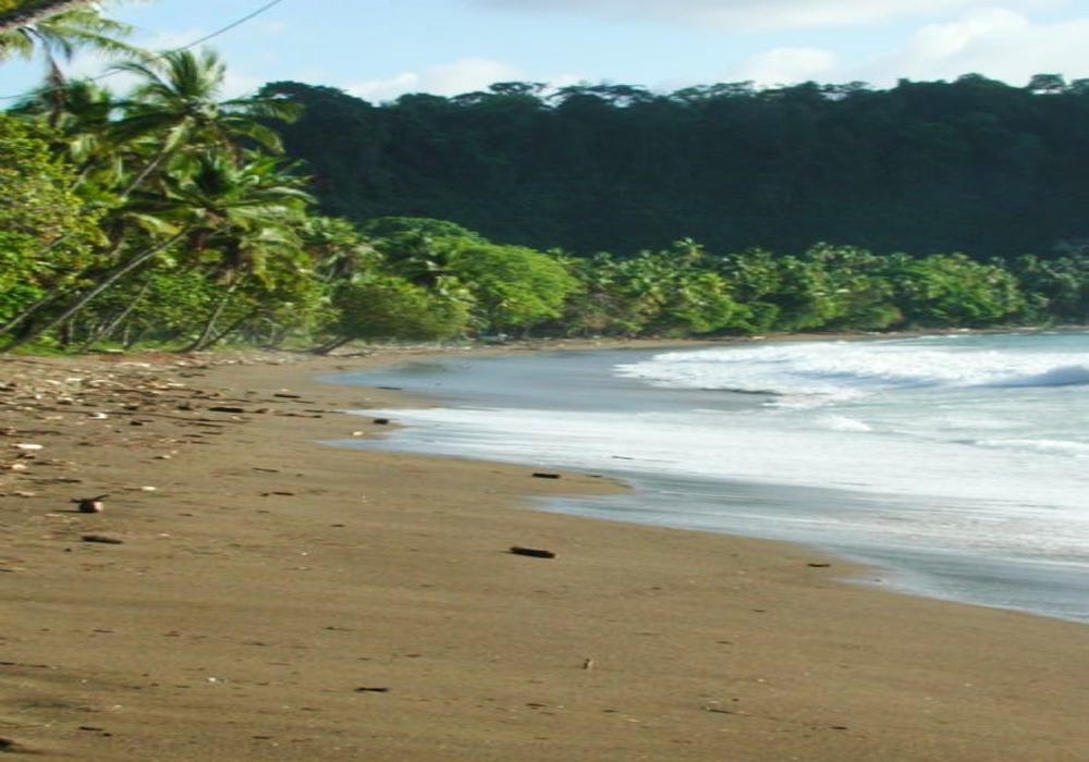 Day 05 -  San Gerardo de Dota - South Pacific Coast