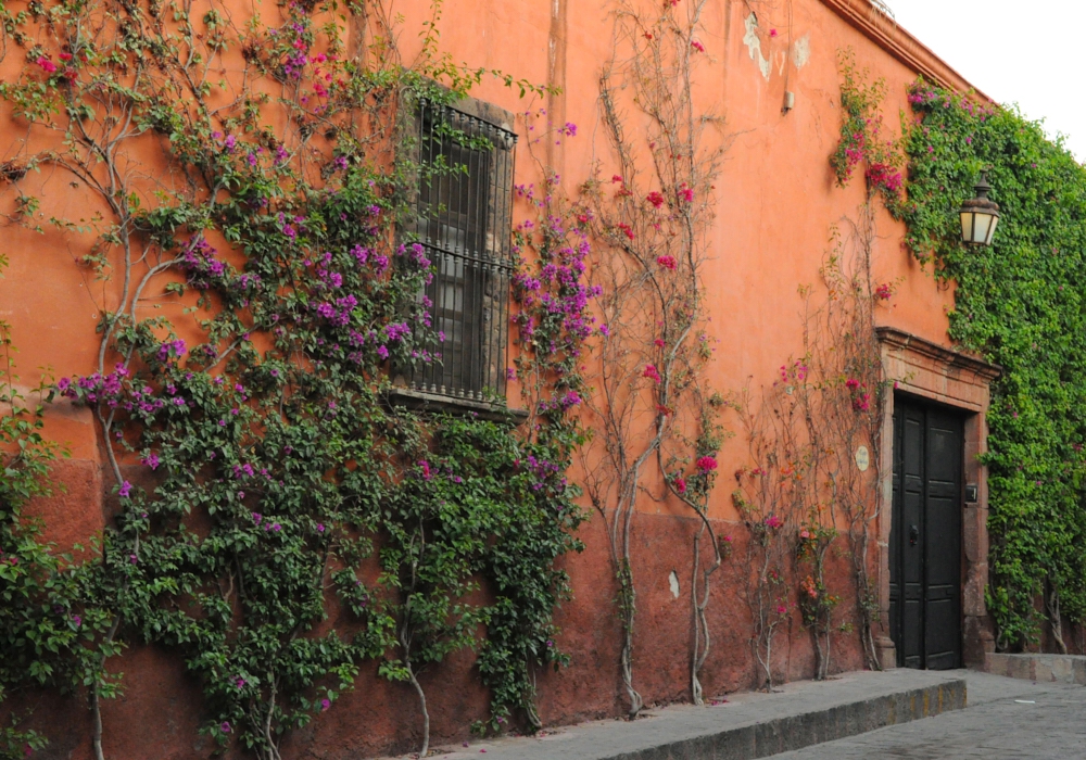 Day 05 - San Miguel de Allende