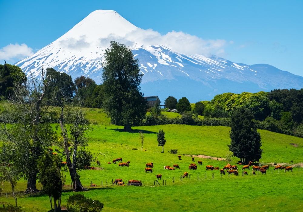 Day 05 - Santiago - Puerto Montt