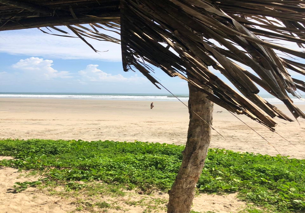 Day 05 - Tamarindo