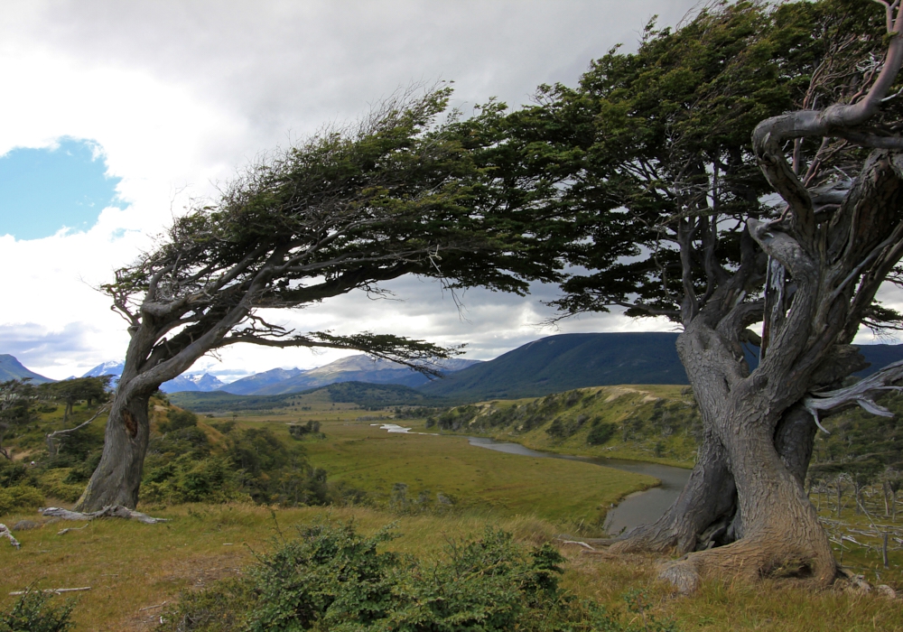 DAY 05 – TIERRA DEL FUEGO NATIONAL PARK