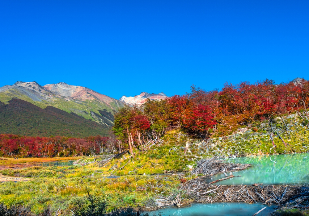 DAY 05 – TIERRA DEL FUEGO NATIONAL PARK