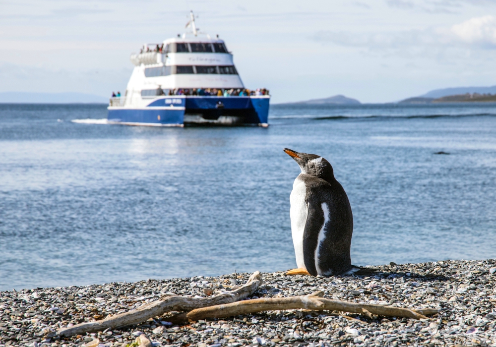 DAY 05 – TIERRA DEL FUEGO NATIONAL PARK