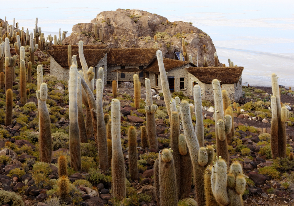 Day 05 - Uyuni