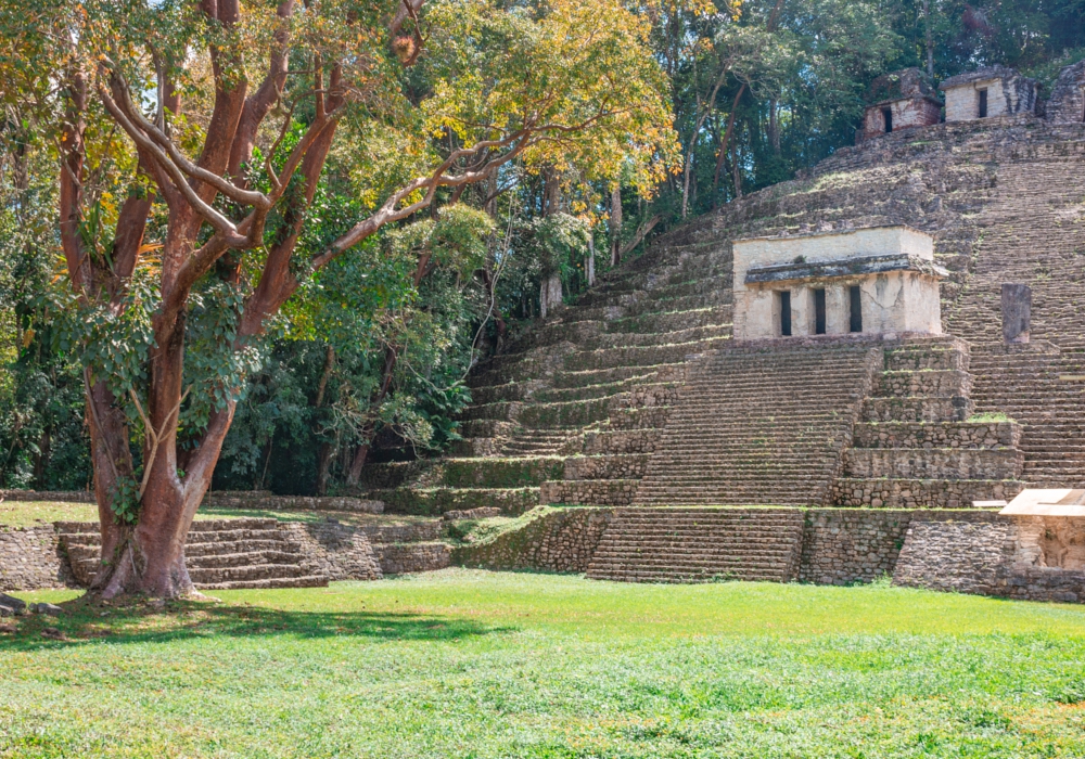 Day 05 - Yaxchilán - Bonampak