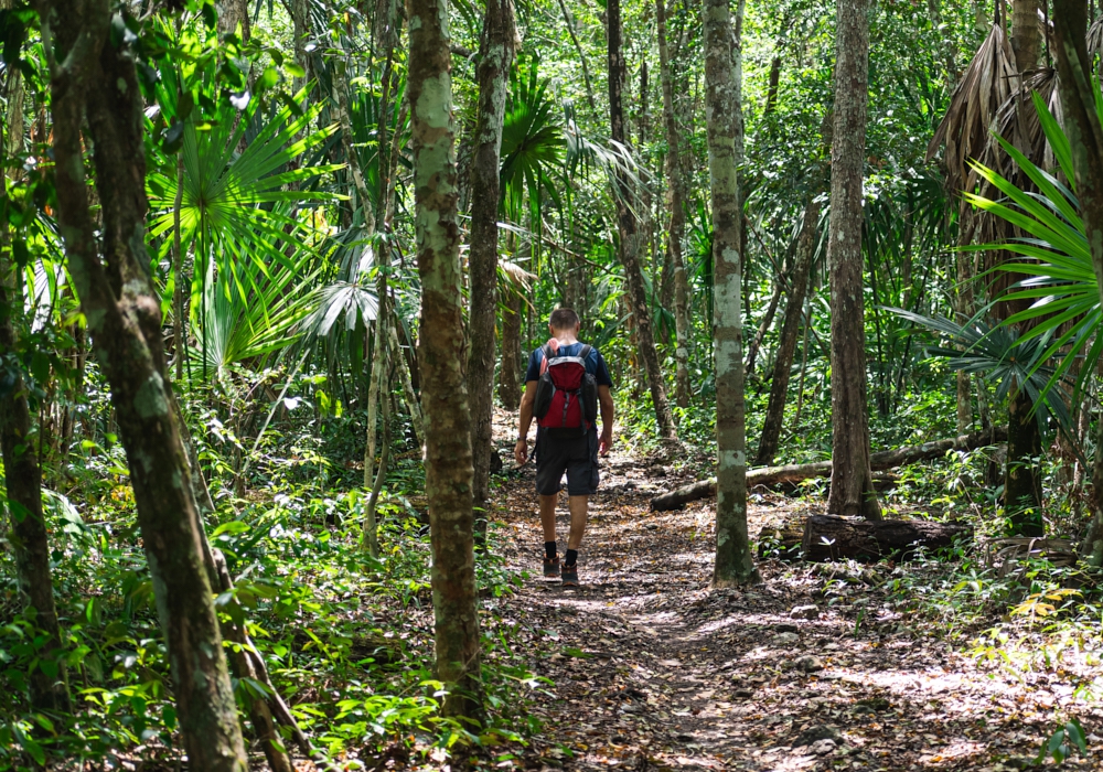 Day 05 - Zip Line - Antigua