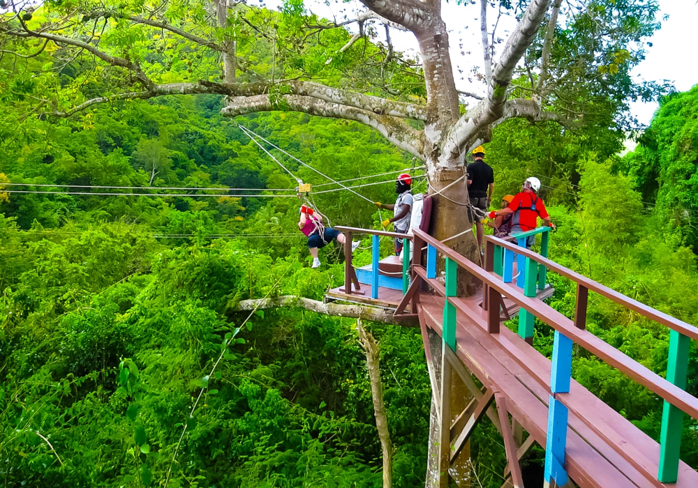 Day 05 - Zip Line - Antigua