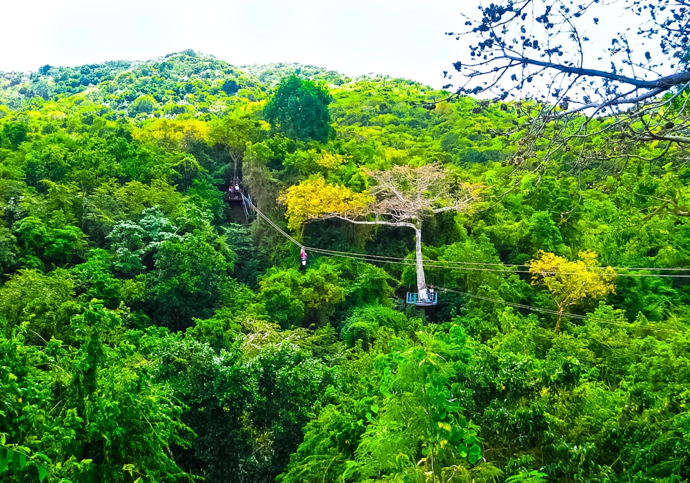 Day 05 - Zip Line - Antigua