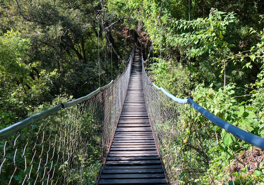 Day 05 - Zip Line - Antigua