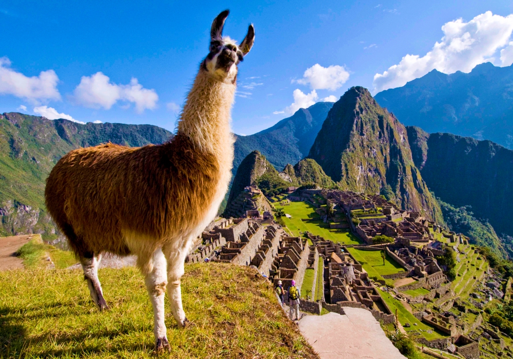 Day 06 - Aguas Calientes – Cusco   Visit to Machu Picchu