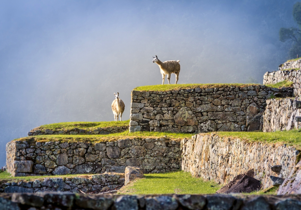 Day 06- Aguas Calientes – Cusco   Visit to Machu Picchu