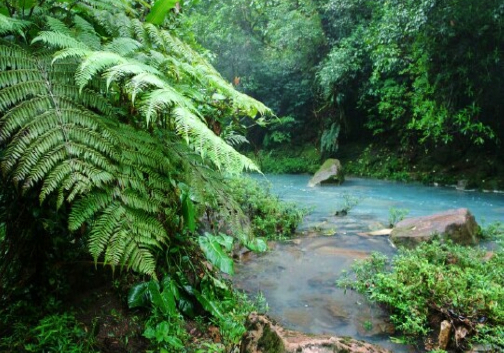 Day 06 - Arenal and Rio Celeste