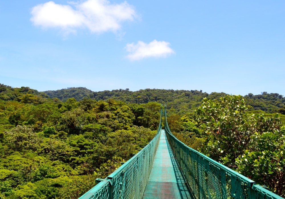 Day 06 -  Arenal - Monteverde