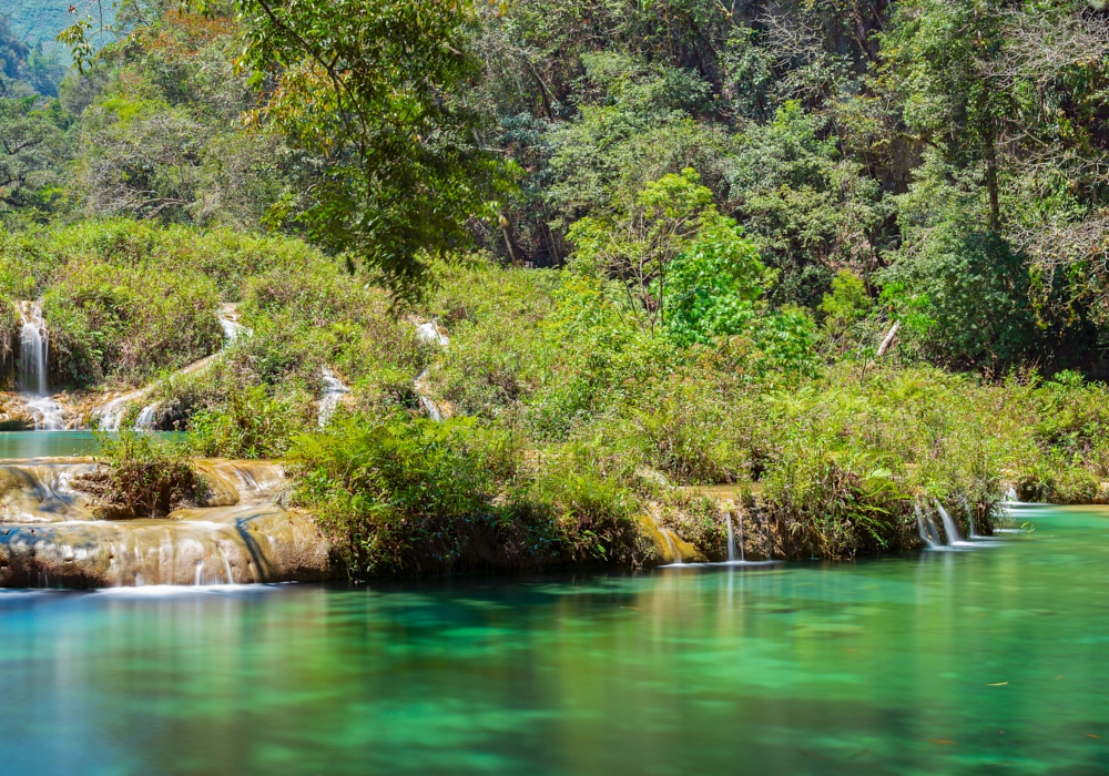 Day 06 - Coban and The Quetzal Reserve