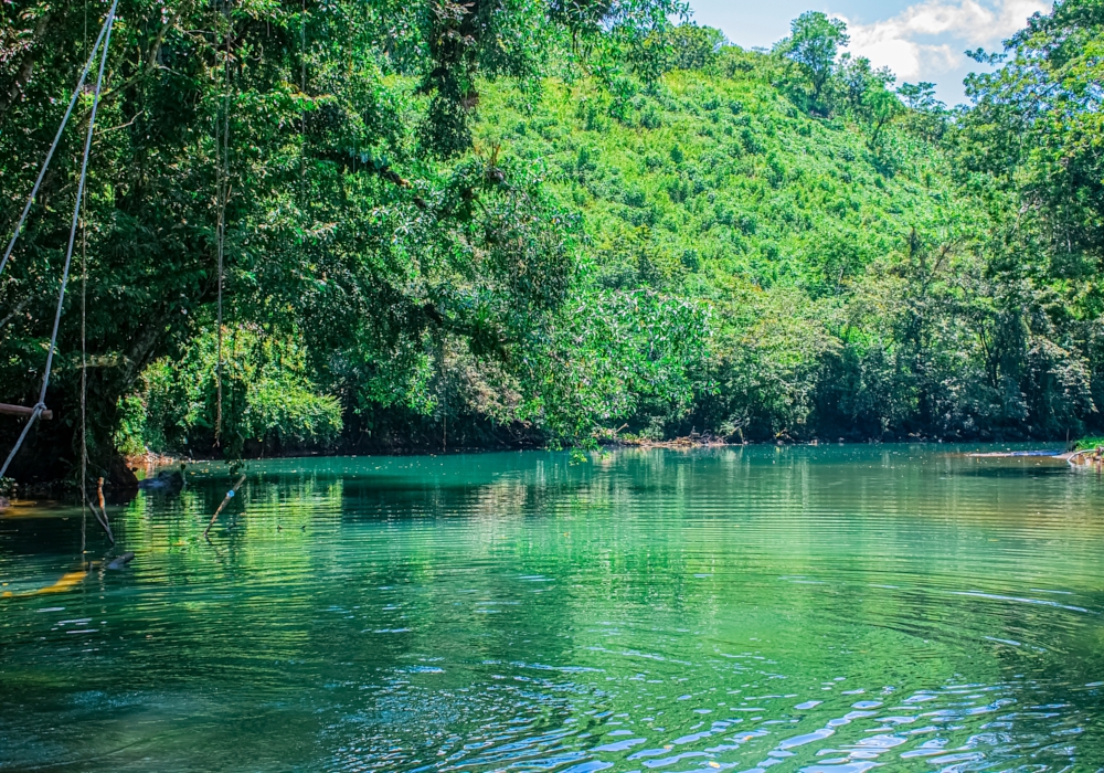 Day 06 - Coban and The Quetzal Reserve