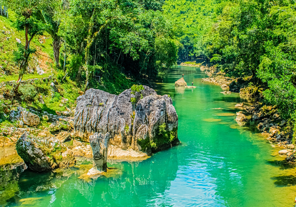 Day 06 - Coban and The Quetzal Reserve