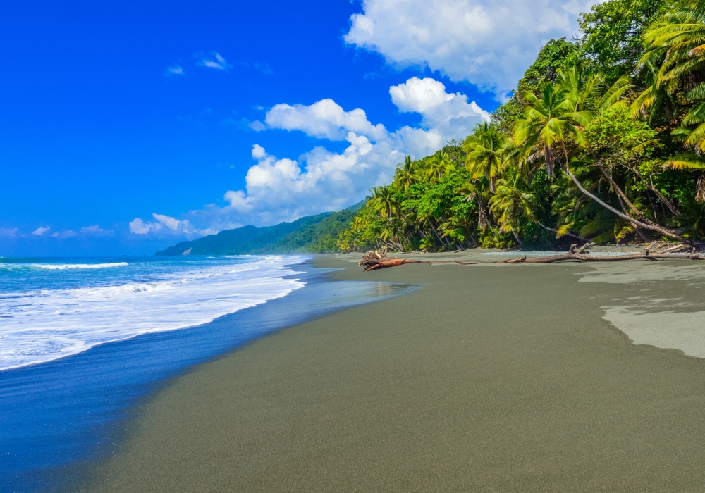 DAY 06 - Corcovado National Park