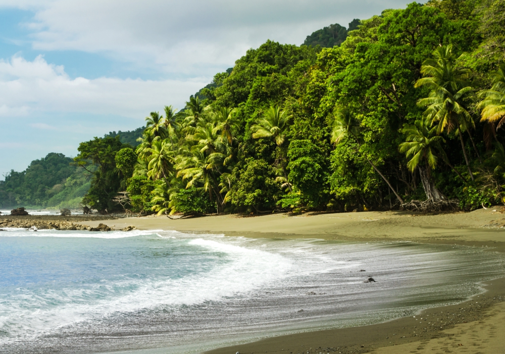 DAY 06 - Corcovado National Park