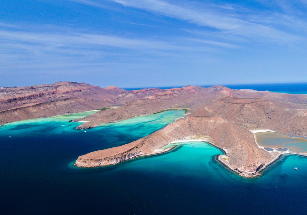 Day 06 - Day trip to the sea lions of Espíritu Santo Island