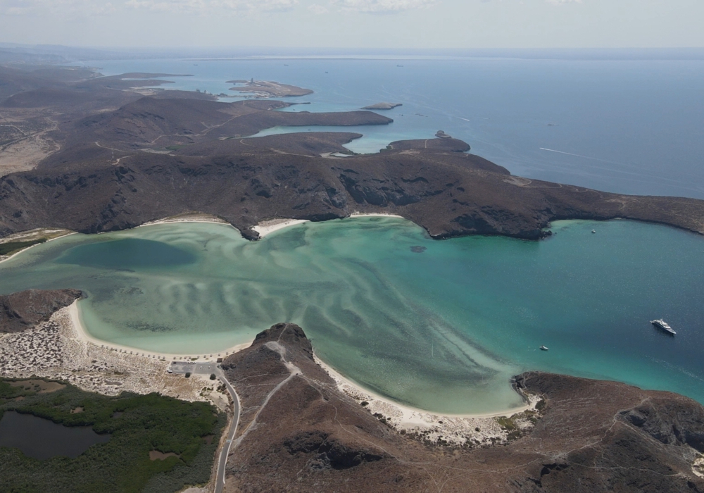 Day 06 - Day trip to the sea lions of Espíritu Santo Island