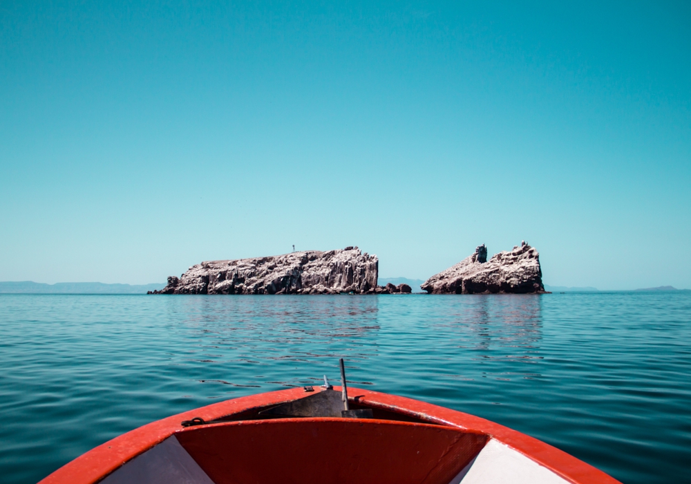 Day 06 - Day trip to the sea lions of Espíritu Santo Island