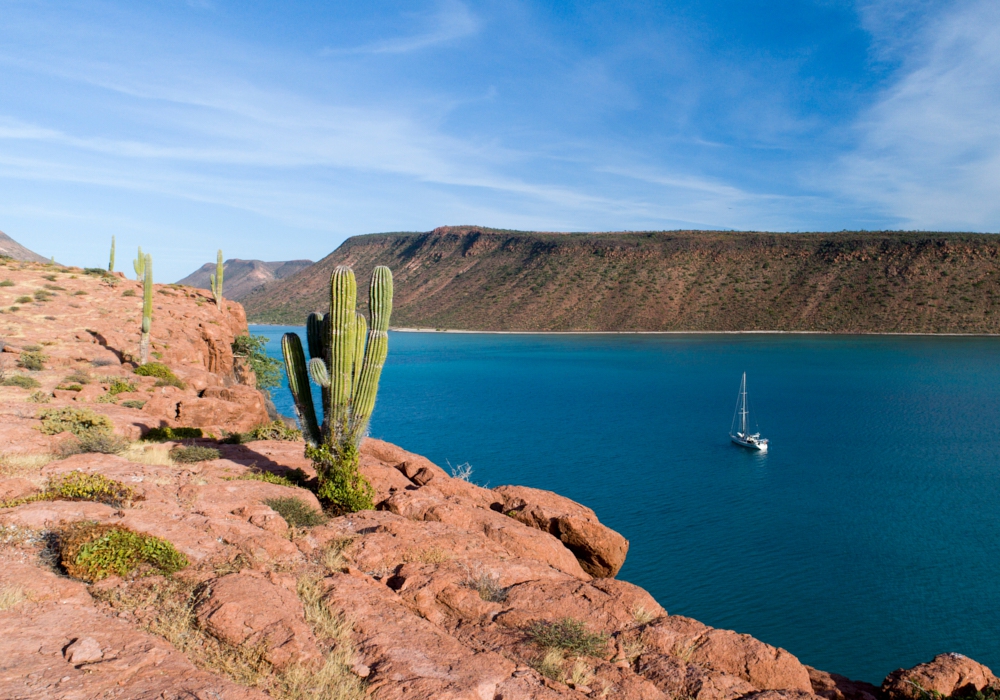 Day 06 - Day trip to the sea lions of Espíritu Santo Island