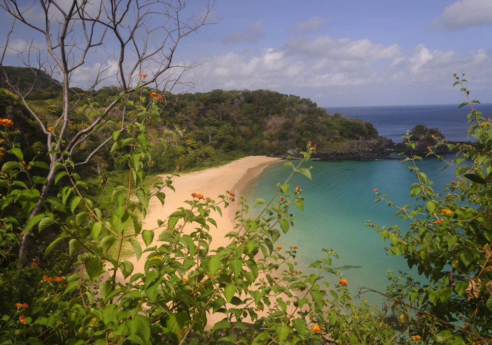 Day 06 - Fernando de Noronha