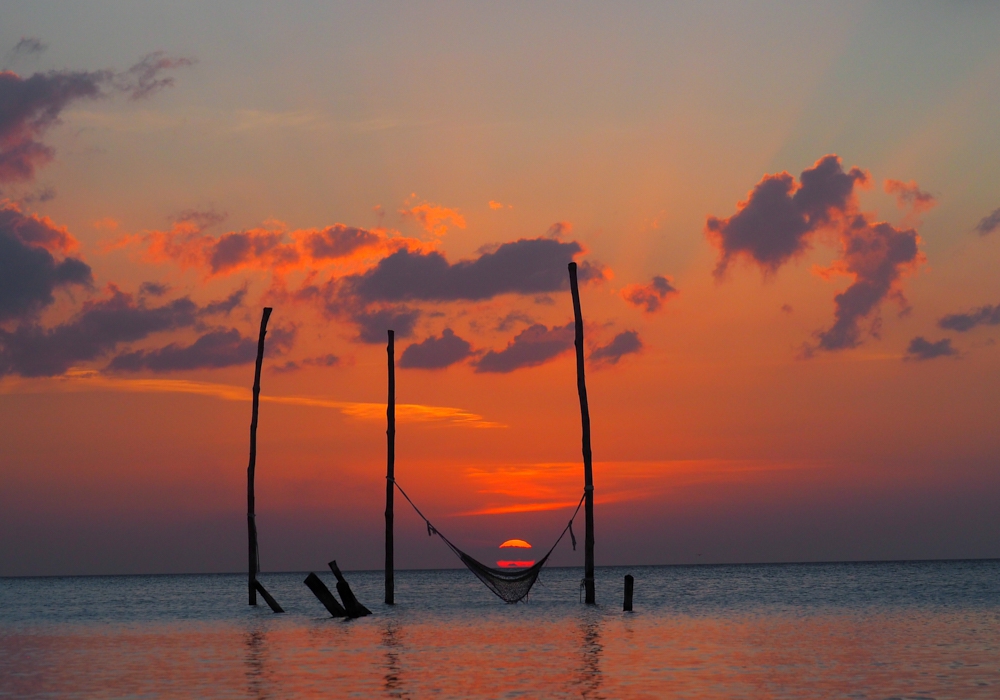 Day 06 - Holbox