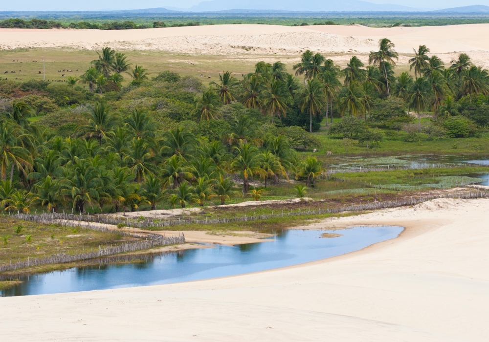 Day 06 - Jericoacoara