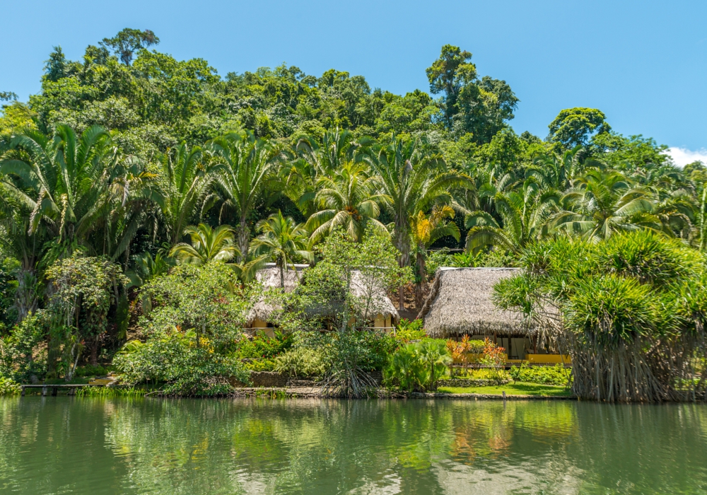 Day 06 - Las Guacamayas Biological Station