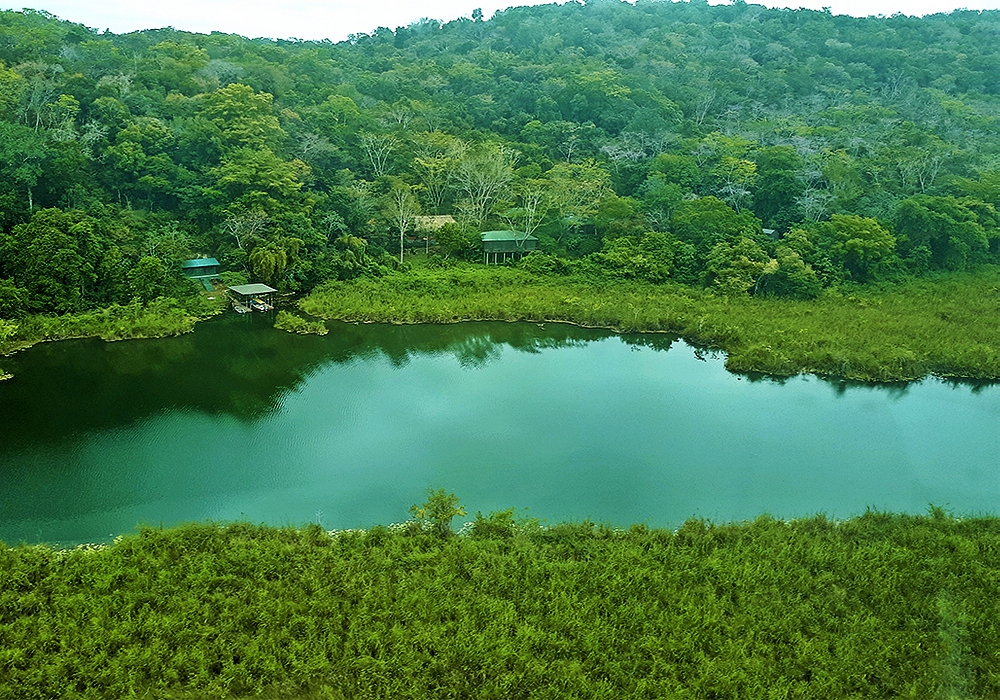 Day 06 - Las Guacamayas Biological Station