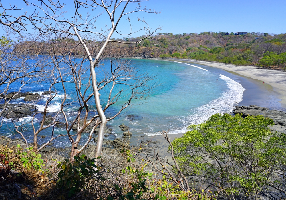 Day 06 - Papagayo