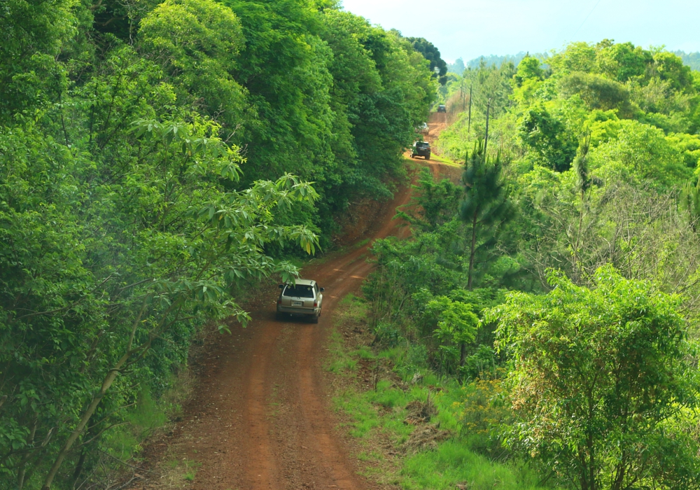 DAY 06 - PUERTO BEMBERG