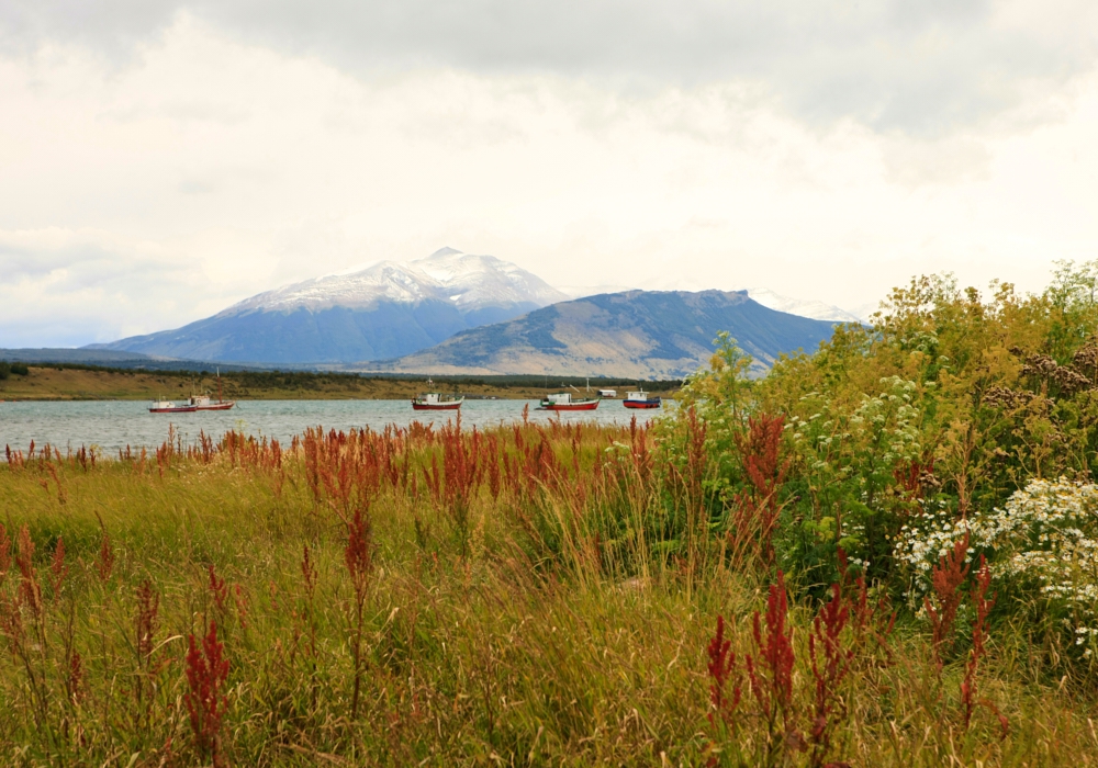 Day 06 - Santiago - Punta Arenas - Puerto Natales