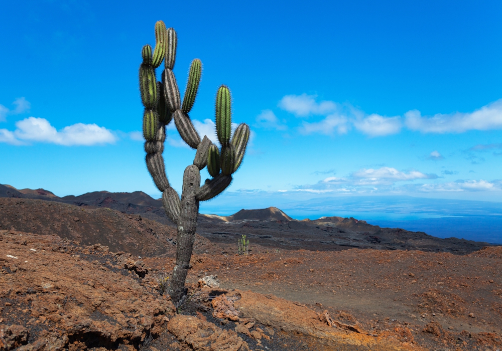 Day 06 - Sierra Negra