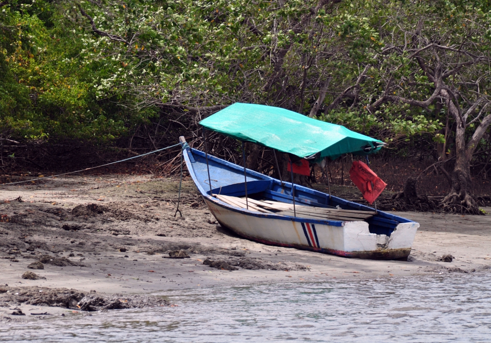 Day 06 - Tamarindo