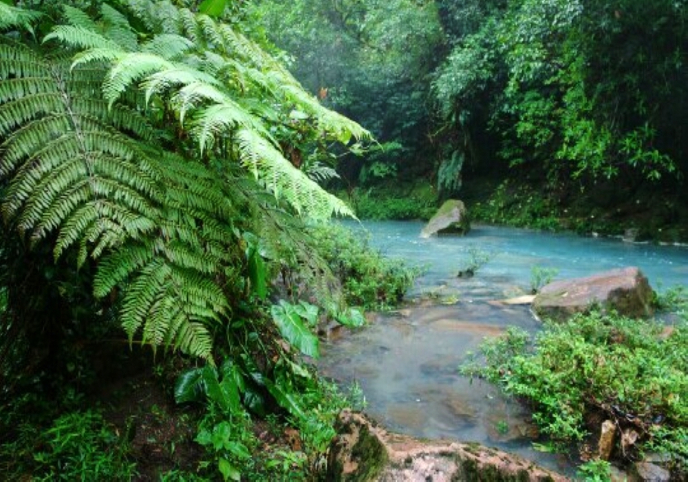 Day 06 - Tenorio Volcano National Park